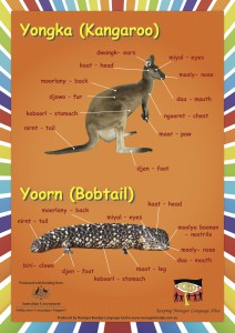 Posters :: Noongar Boodjar Language Cultural Aboriginal Corporation