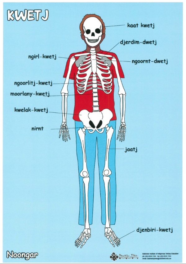 Posters :: Noongar Boodjar Language Cultural Aboriginal Corporation