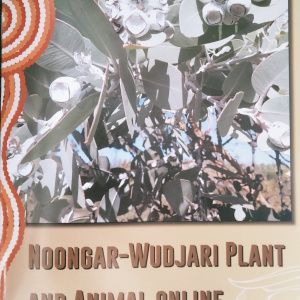 Noongar-Wudjari Plants and Animal Online Encyclopedia Book